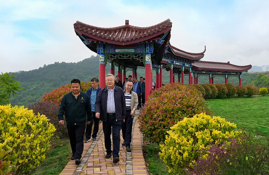 49-2022年5月，省工信廳副廳長(zhǎng)王海峰一行蒞臨金徽股份調(diào)研綠色礦山建設(shè)工作。.jpg